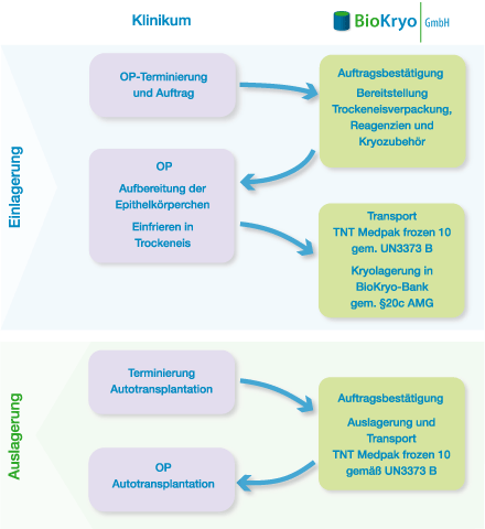 Hyperparathyreoidismus-Therapie